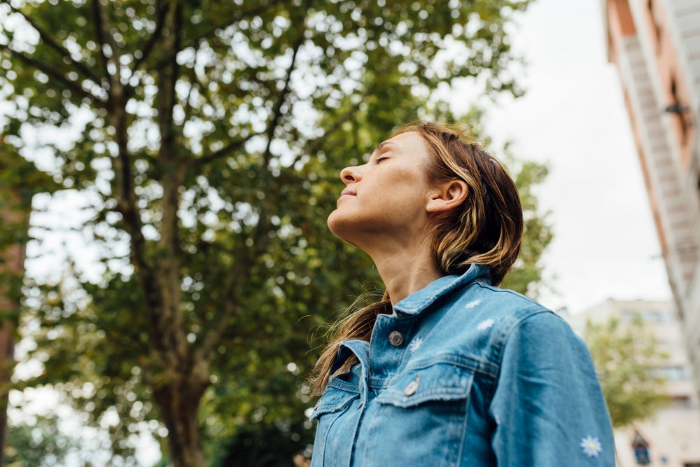 Understanding Air Quality: Key Factors Explained