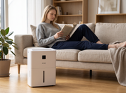 6L/Day Dehumidifier