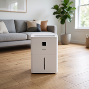 6L/Day Dehumidifier