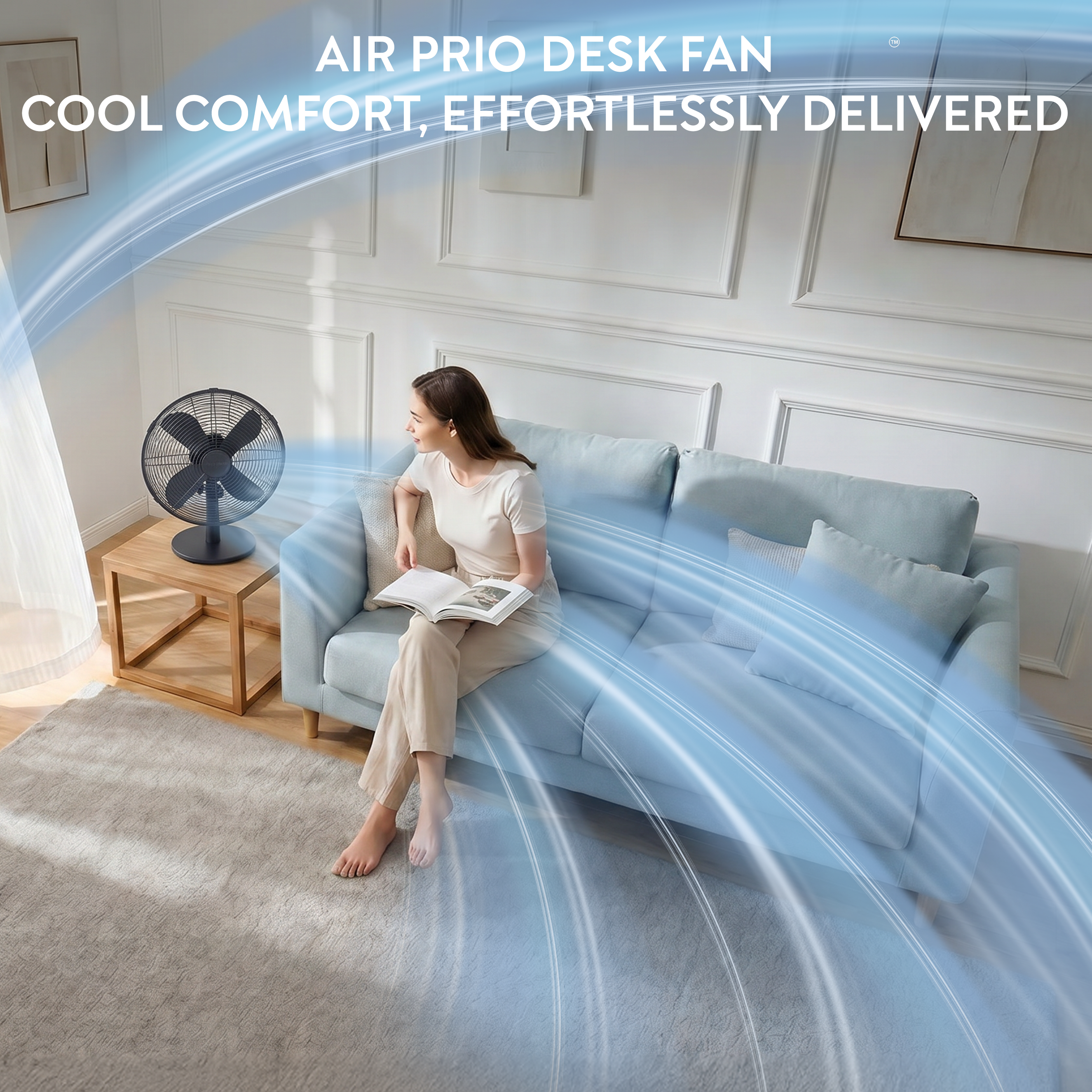 12" Desk Fan