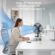 12" Desk Fan