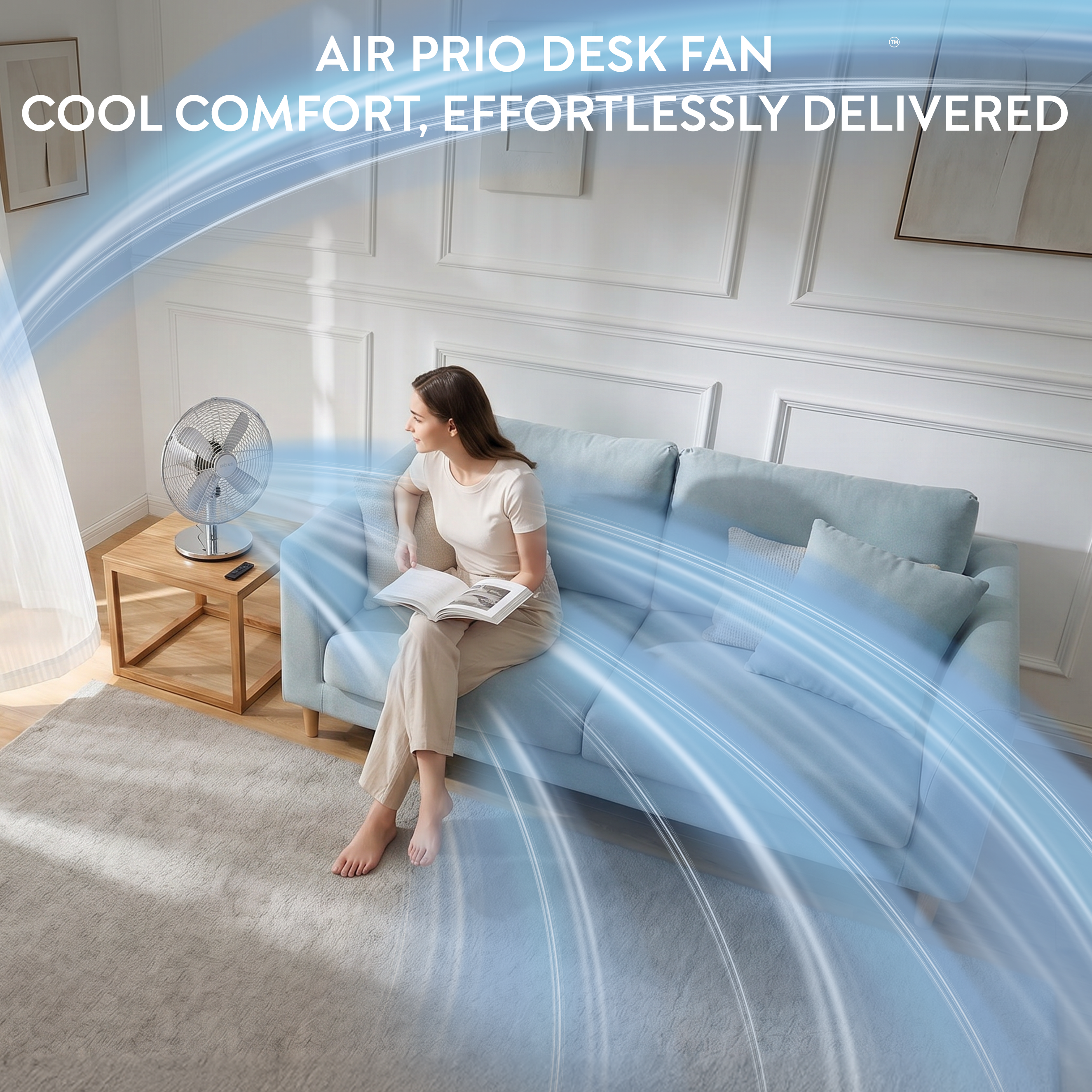 12" Desk Fan