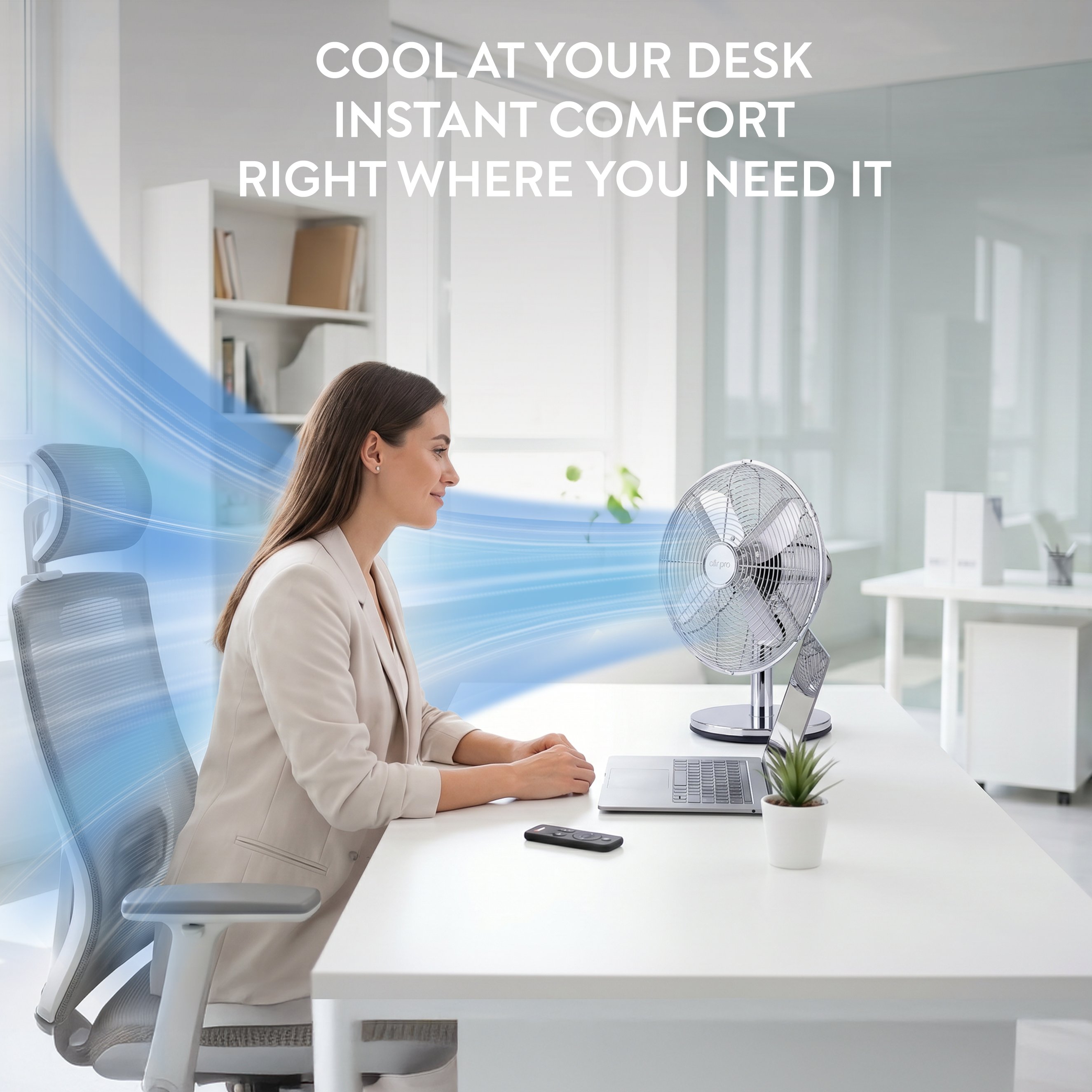 12" Desk Fan