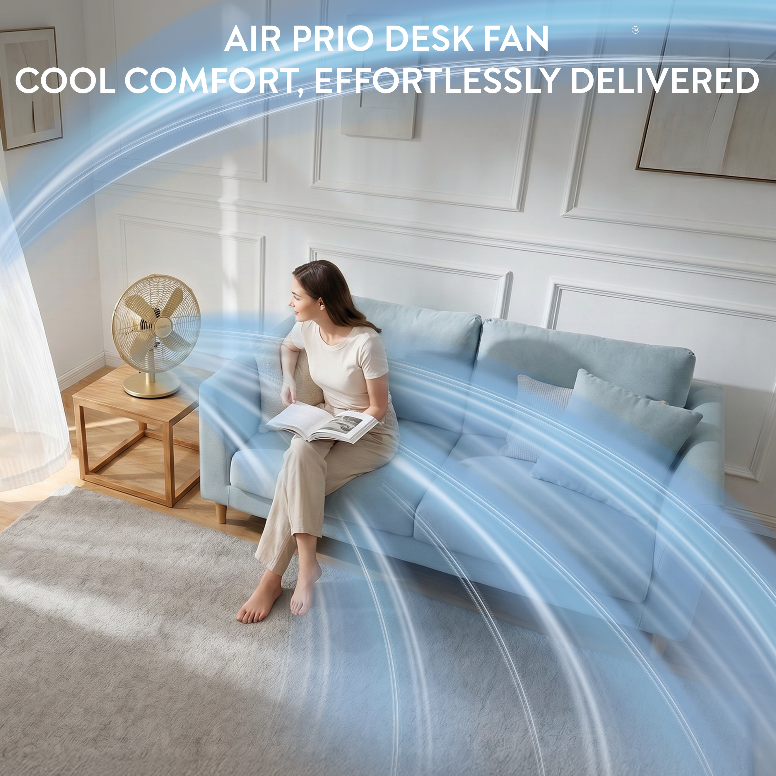 12" Desk Fan