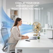 12" Desk Fan