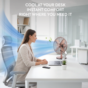 12" Desk Fan