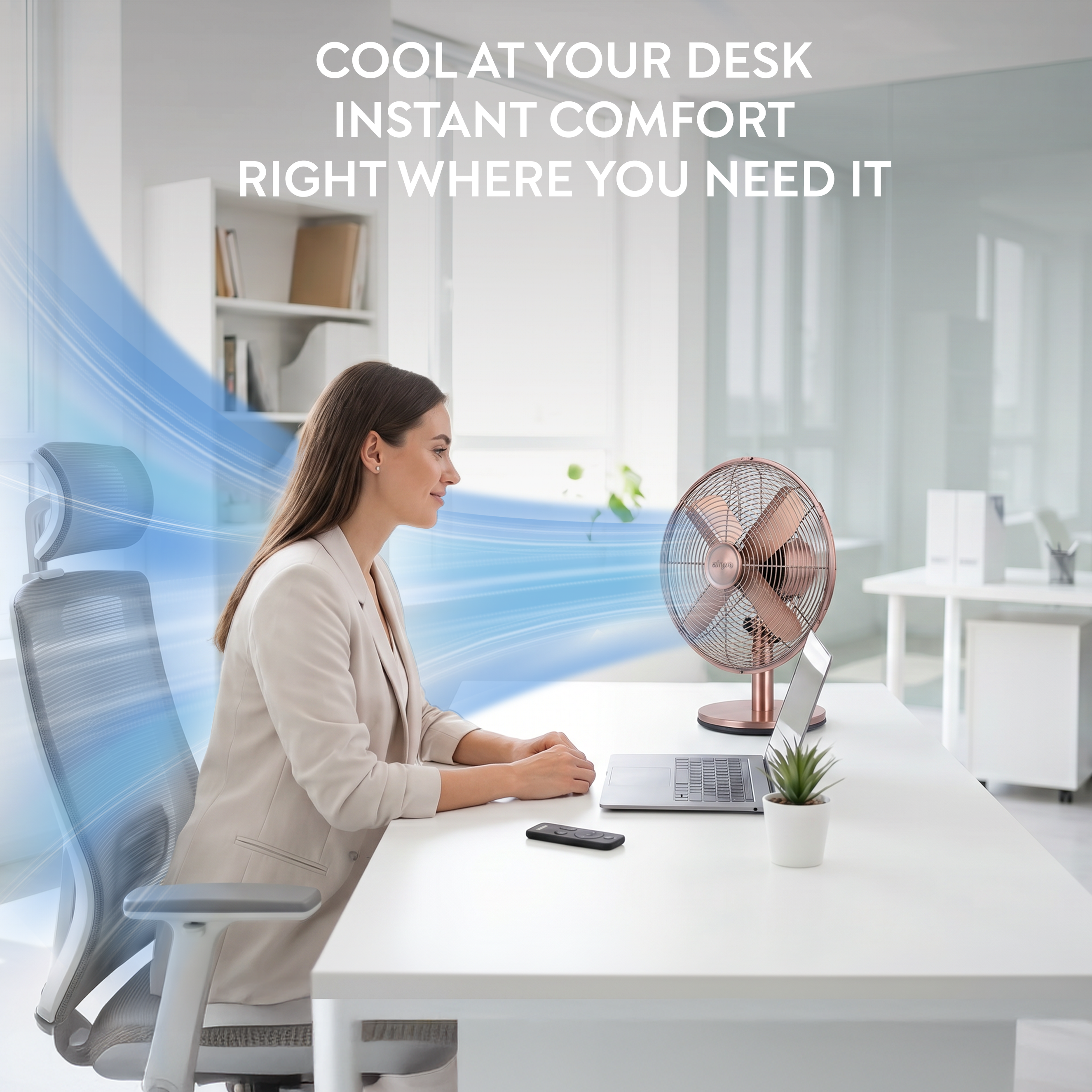 12" Desk Fan