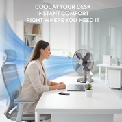 12" Desk Fan