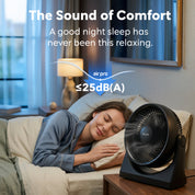 10" Desk Fan