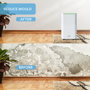 12L/Day Digital Compressor Dehumidifier (WiFi Optional)