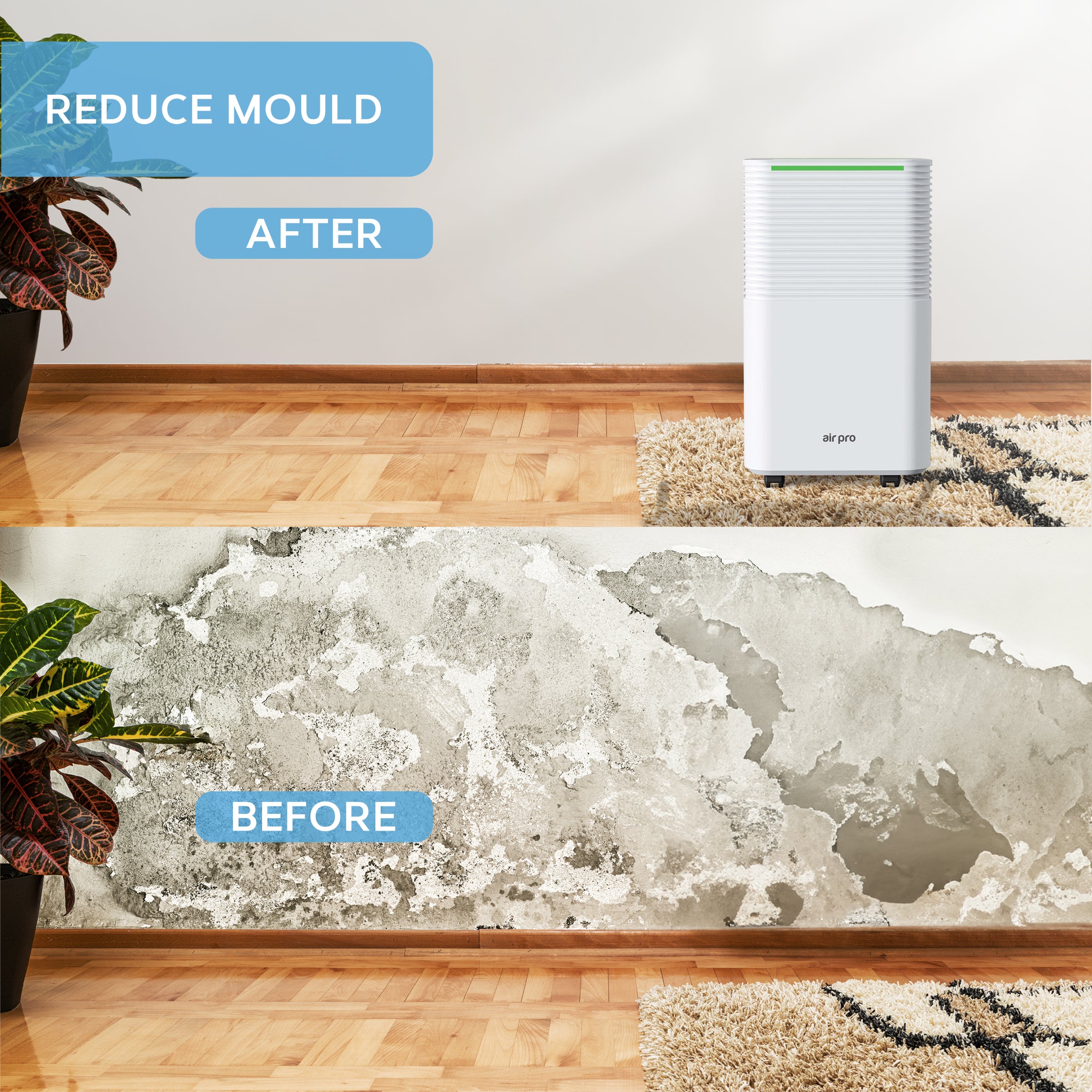 12L/Day Digital Compressor Dehumidifier (WiFi Optional)